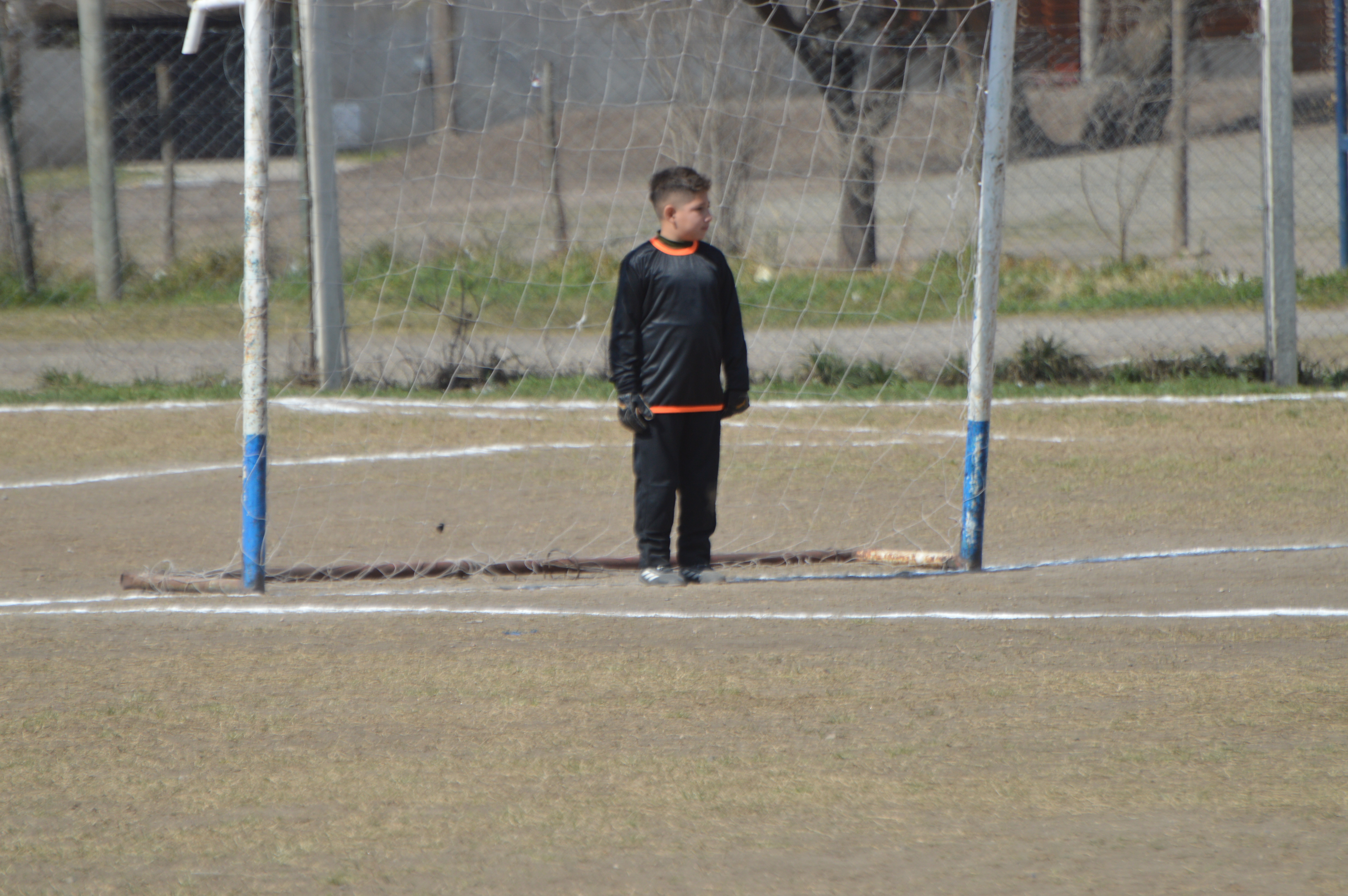 Imagen 3